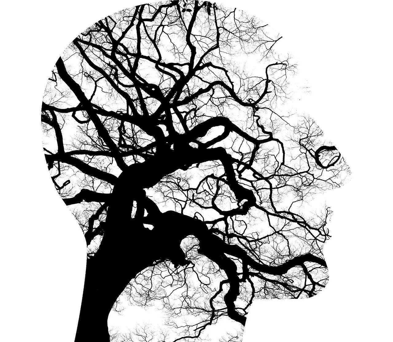 mental health, brain, thinking, tree branches, disorder, psychiatry, mental, neurology, stress, anxiety, psychologist, psychotherapy, psychiatrist, psychology, head, think, counseling, healthcare, mental health, mental health, mental health, mental health, mental health, brain, thinking, stress, psychology